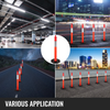 82796061