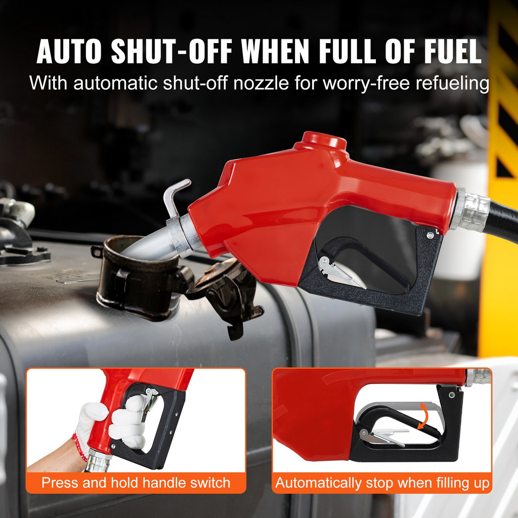 78795304