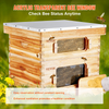 Kit de inicio de 20 colmenas de abejas con marco de madera de cedro recubierta de cera de abejas