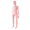 Maniquí de entrenamiento tamaño natural masculino PVC