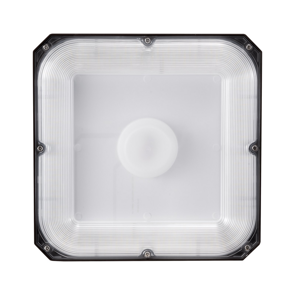 VEVOR - Paquete de 4 luces LED para marquesina 80 W 8800 lm 5000 K