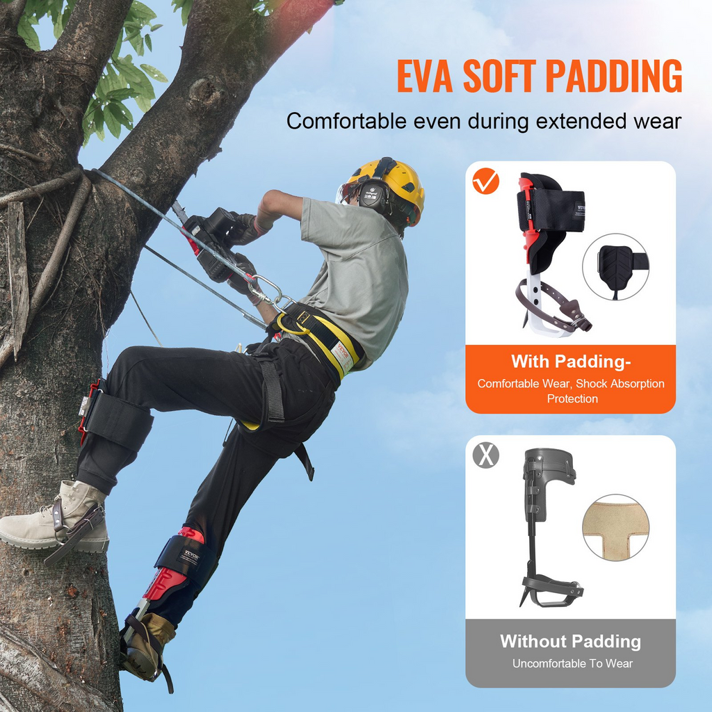 82796804
